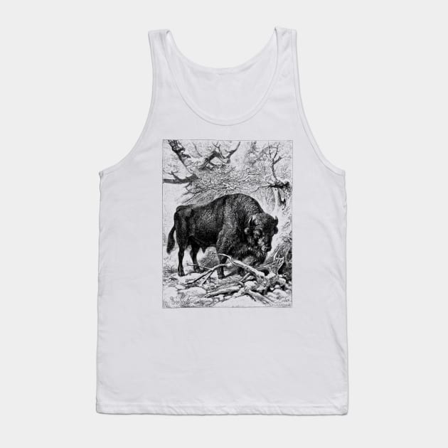 Bison Wildlife Illustration Tank Top by Biophilia